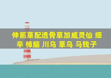 伸筋草配透骨草加威灵仙 细辛 樟脑 川乌 草乌 马钱子